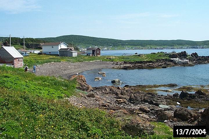 The shore at Taylor's Point.